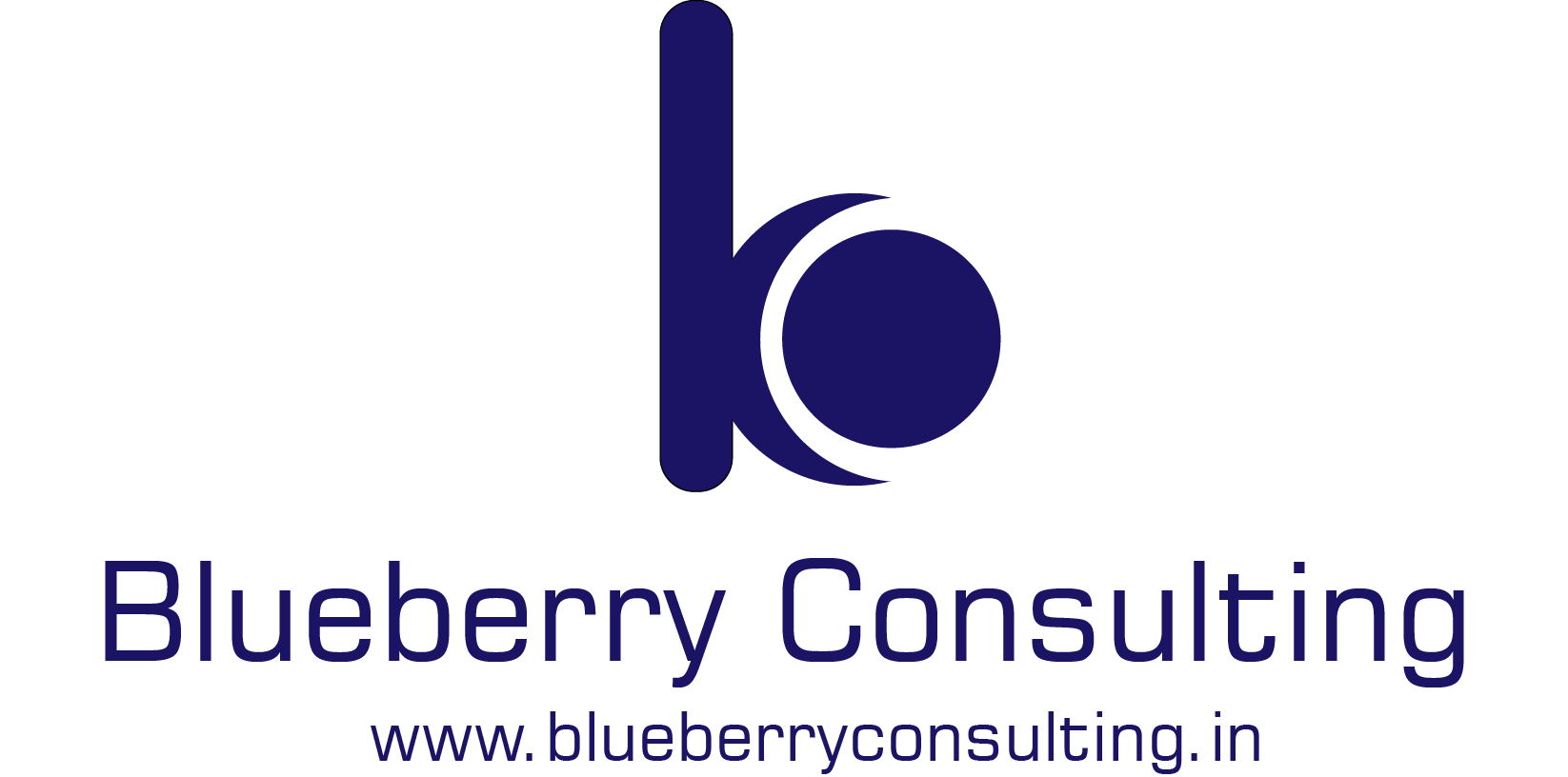 Blueberry Consulting Logo