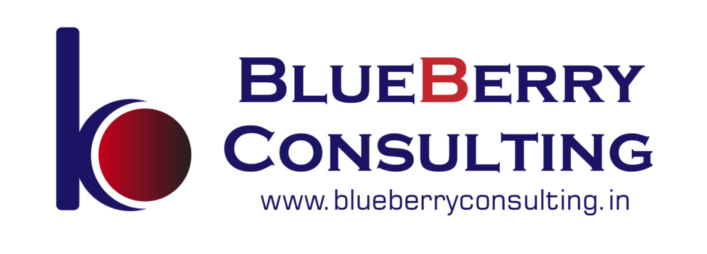 Blueberry Consulting Logo