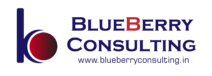 Blueberry Consulting Logo