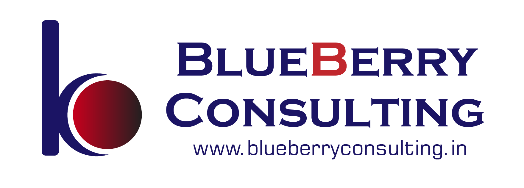 Blueberry Consulting Logo